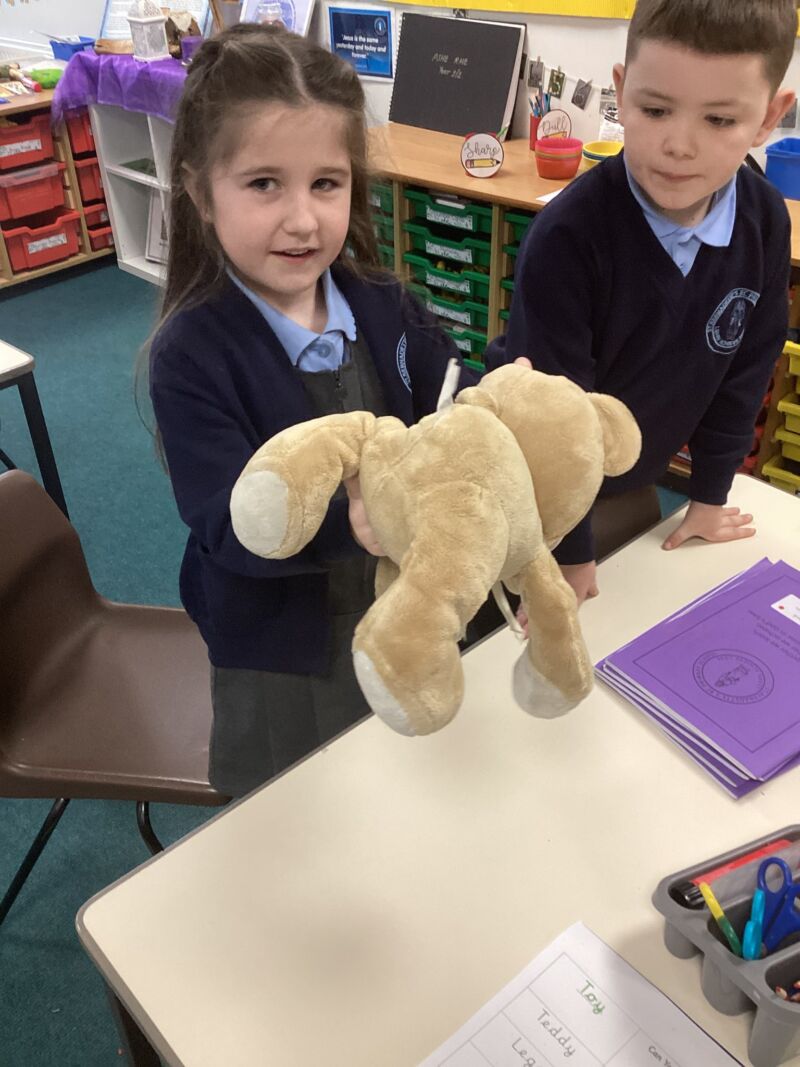 Image for the Tweet beginning: Year 1/2 have been investigating